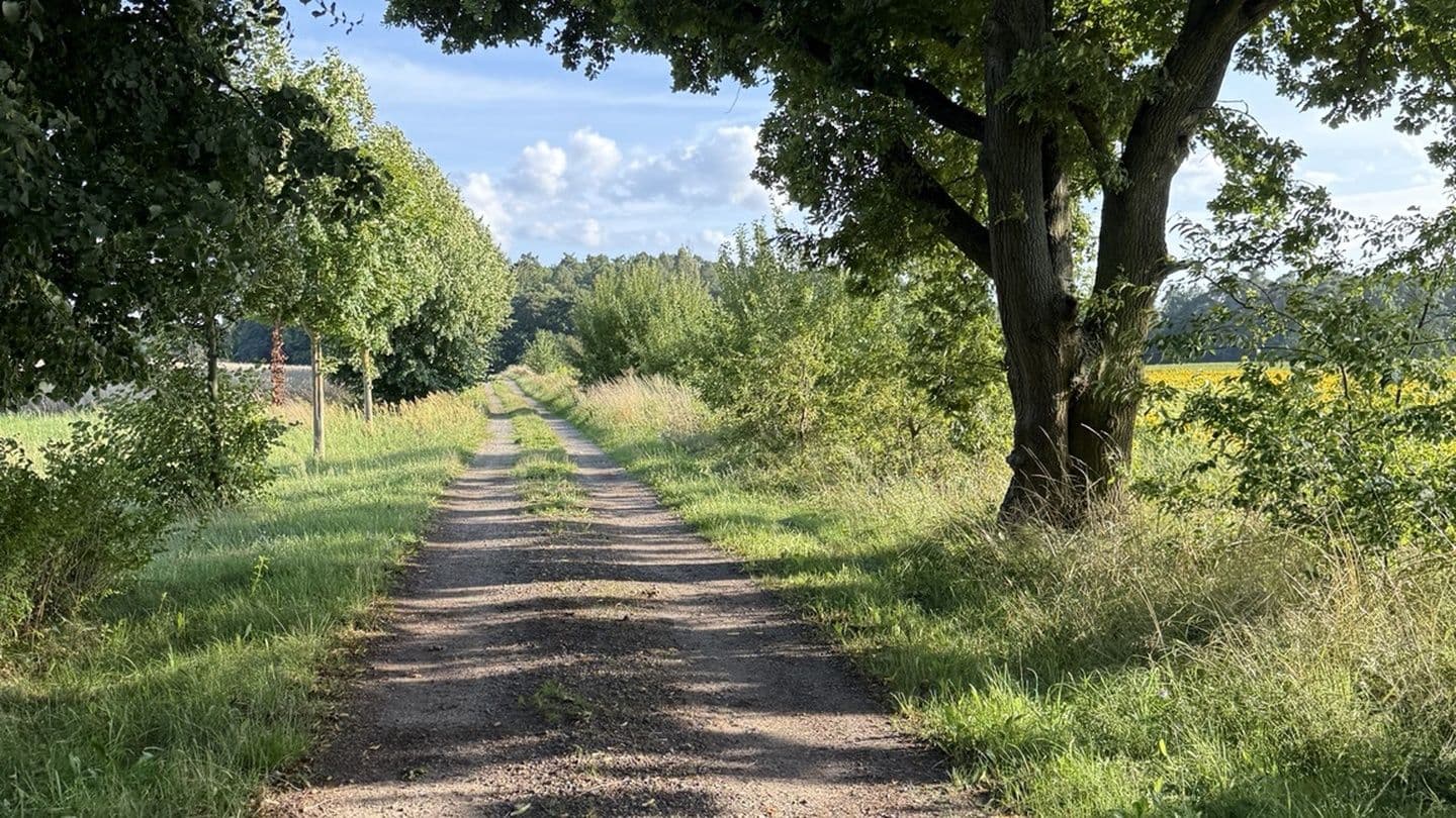 Mit Gott durch den Sommer Mga Awit 16:11 Ang Biblia