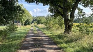 Mit Gott durch den Sommer