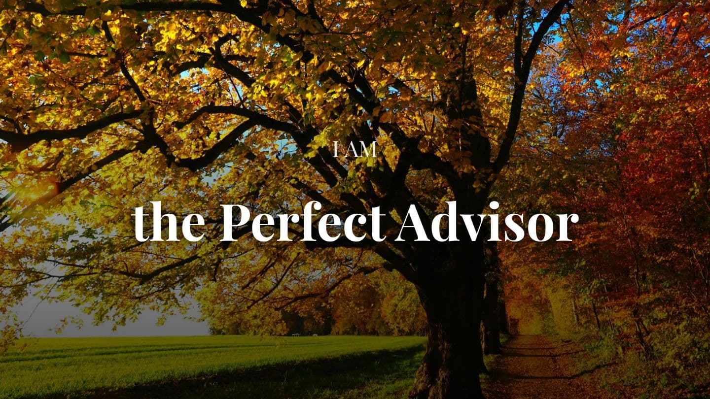 I Am the Perfect Advisor, With Eric Célérier