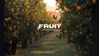 The Fruit of Transformation (Two)