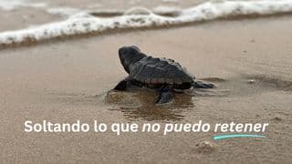 Soltando lo que no puedo retener