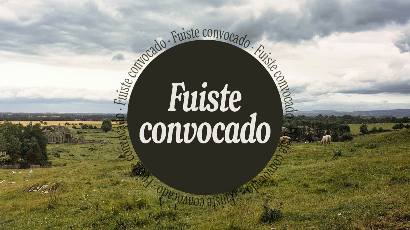 Fuiste Convocado