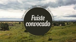 Fuiste Convocado