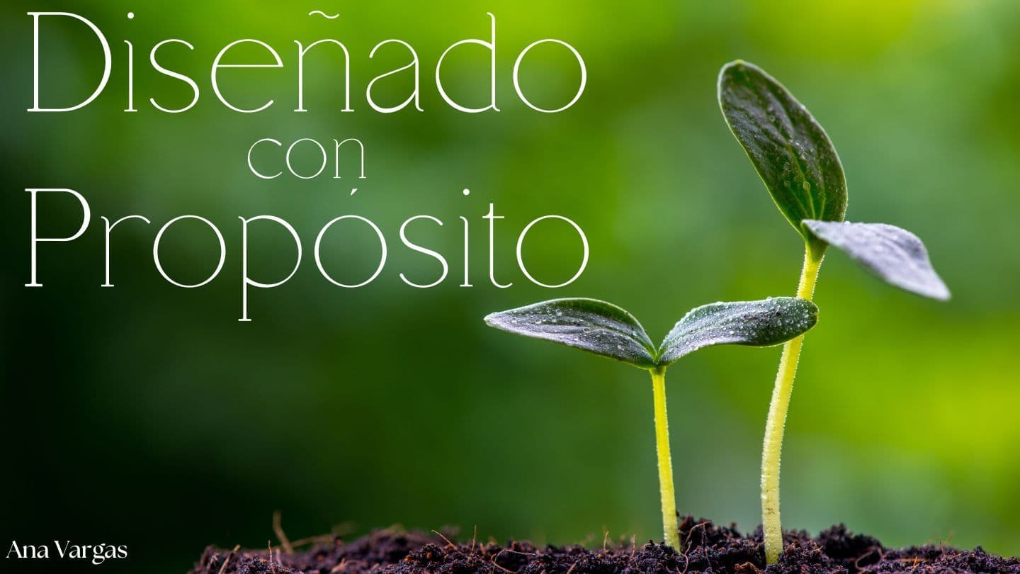 Diseñado Con Propósito