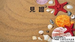见证