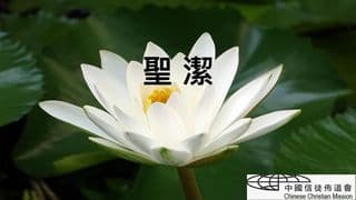 圣洁
