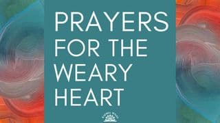 Prayers for the Weary Heart 💙