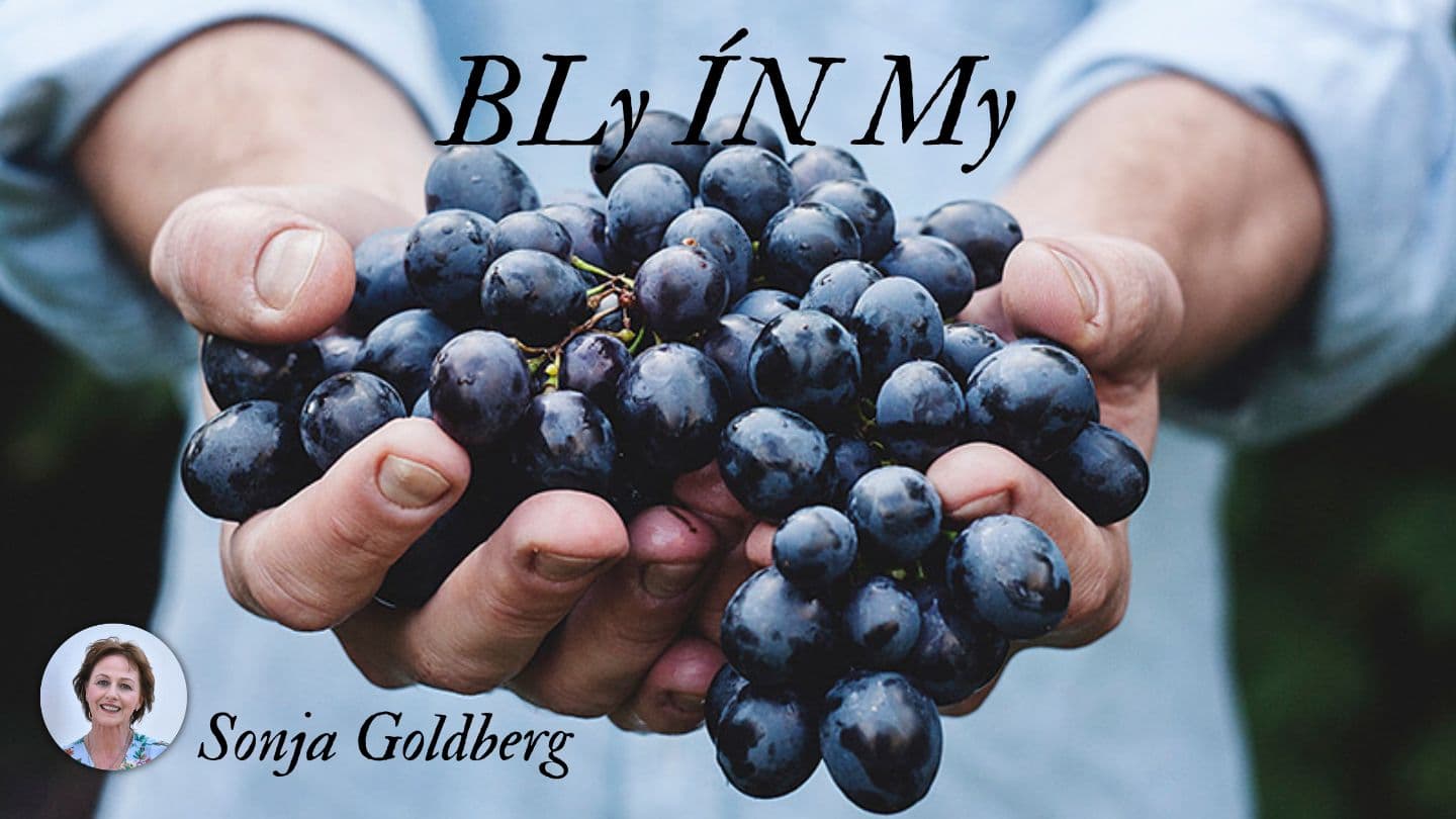 BLy ÍN My Matthew 8:27 Majority Standard Bible