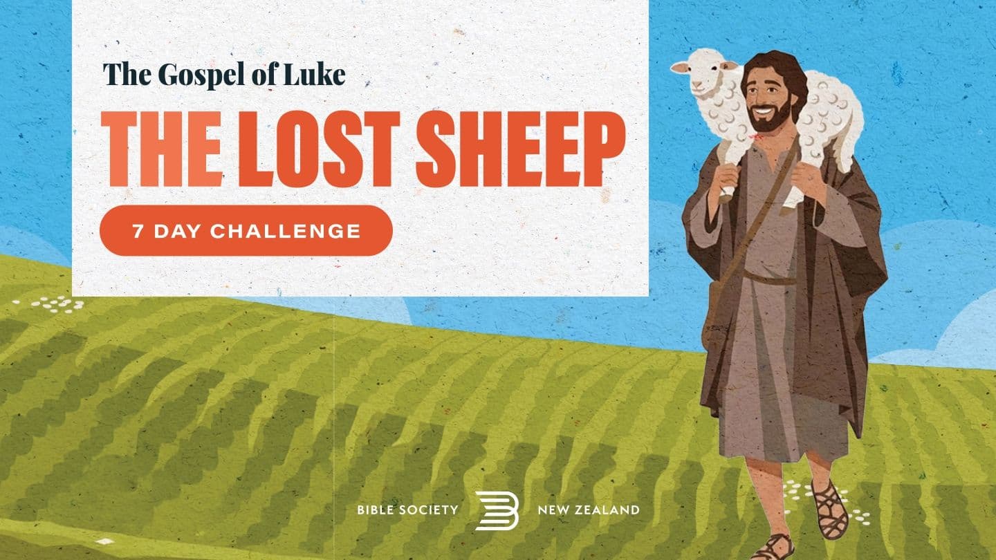 The Lost Sheep - 7 Day Challenge