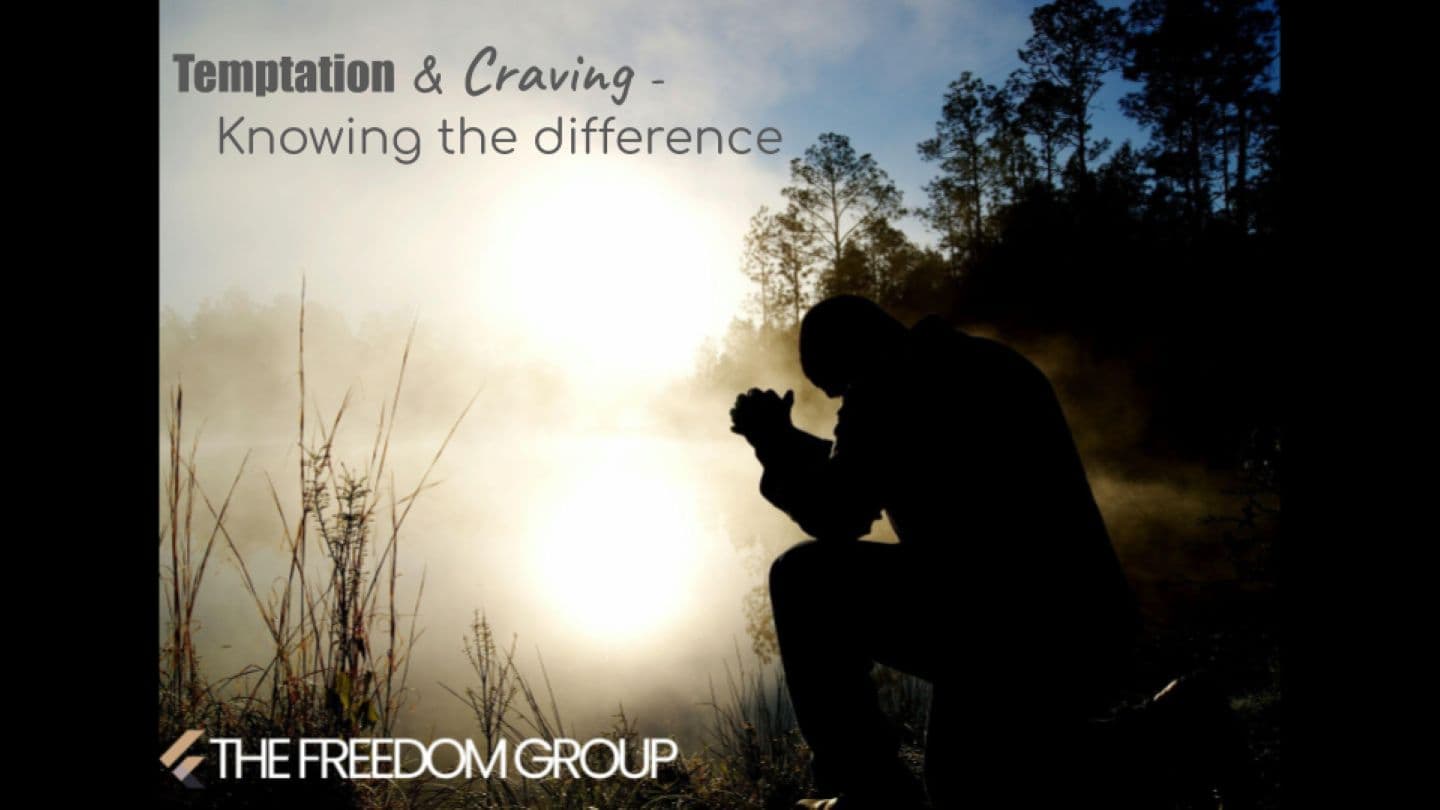 Temptation and Craving: Knowing the Difference in God's Design