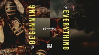 The Beginning of Everything - Promise