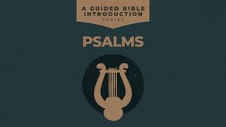 Psalms: A Guided Bible Introduction