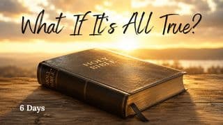 What if It's All True?
