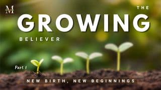 The Growing Believer: New Birth, New Beginnings