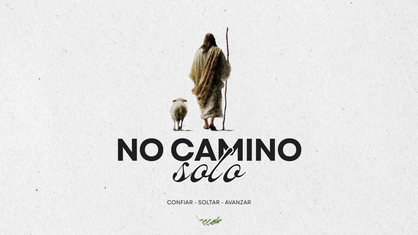 No Camino Solo