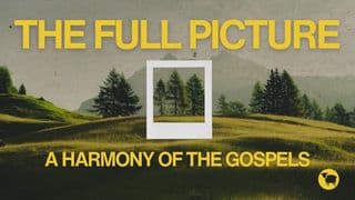 The Full Picture: A Harmony of the Gospels