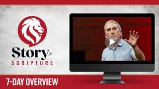Story of Scripture: A 7-Day Overview
