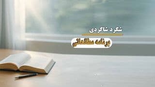 شگرد شاگردی