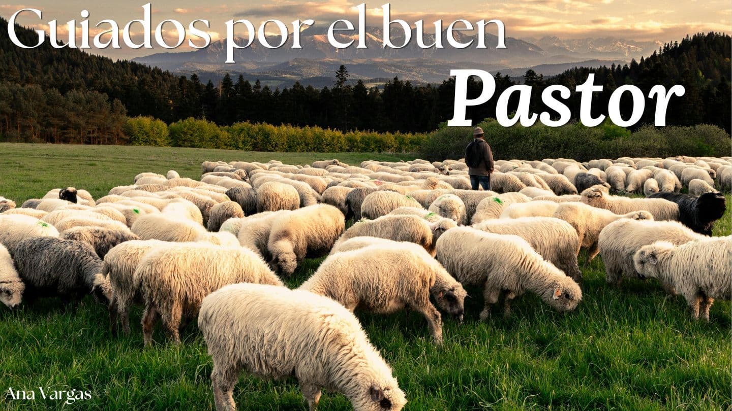 Guiados Por El Buen Pastor