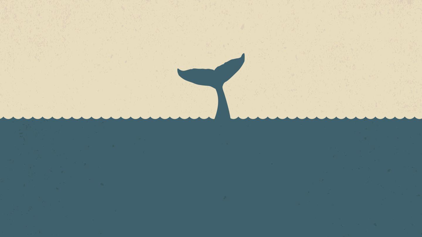 Jonah Challenge
