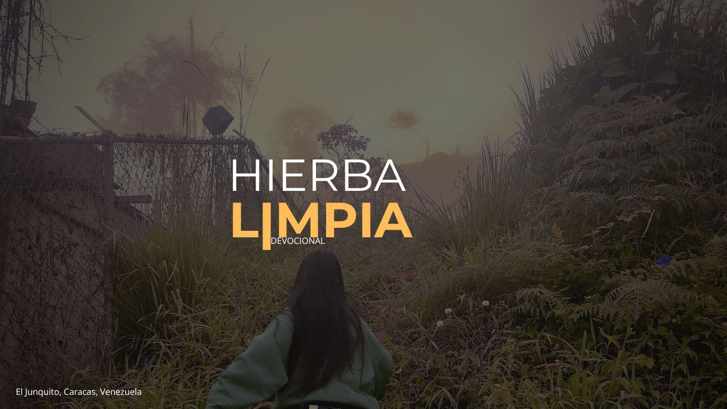 HIERBA LIMPIA
