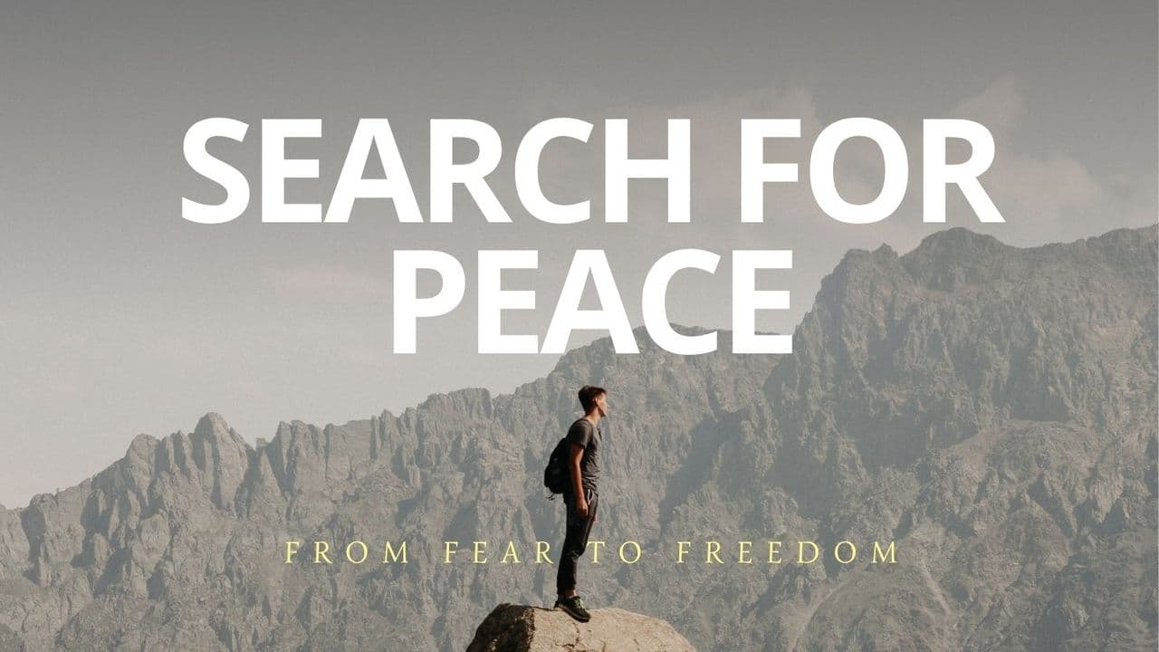Search for Peace