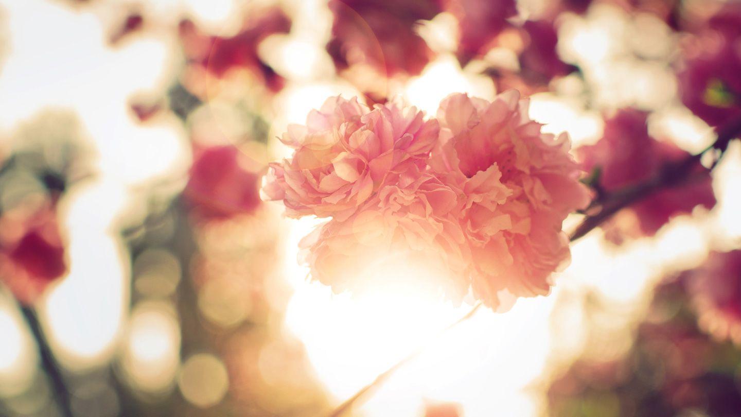 Our Daily Bread: The Hope of Easter