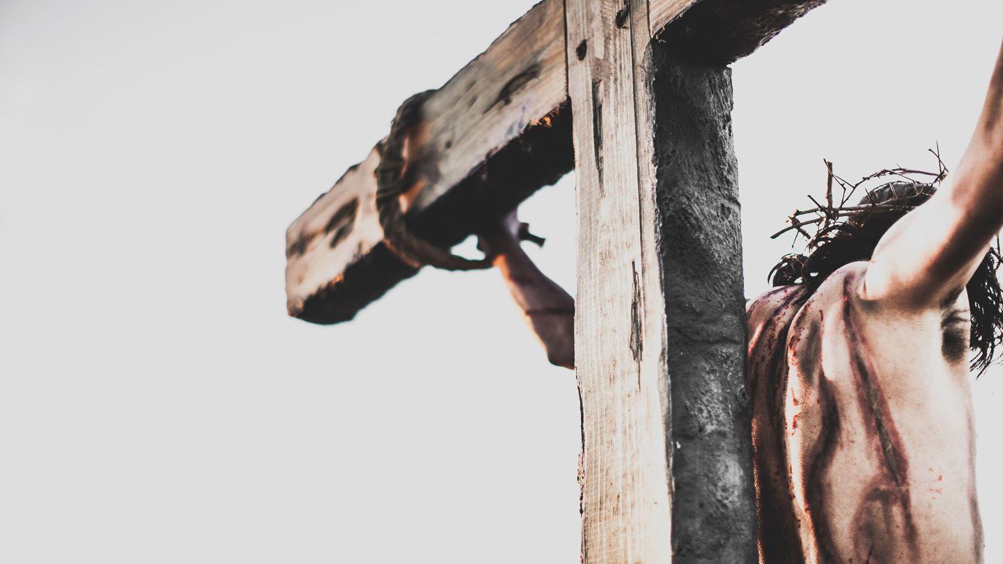 14 Days To Live John 12:9-11 King James Version