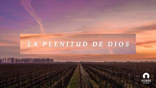 «La plenitud de Dios»