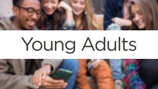 LC Young Adults