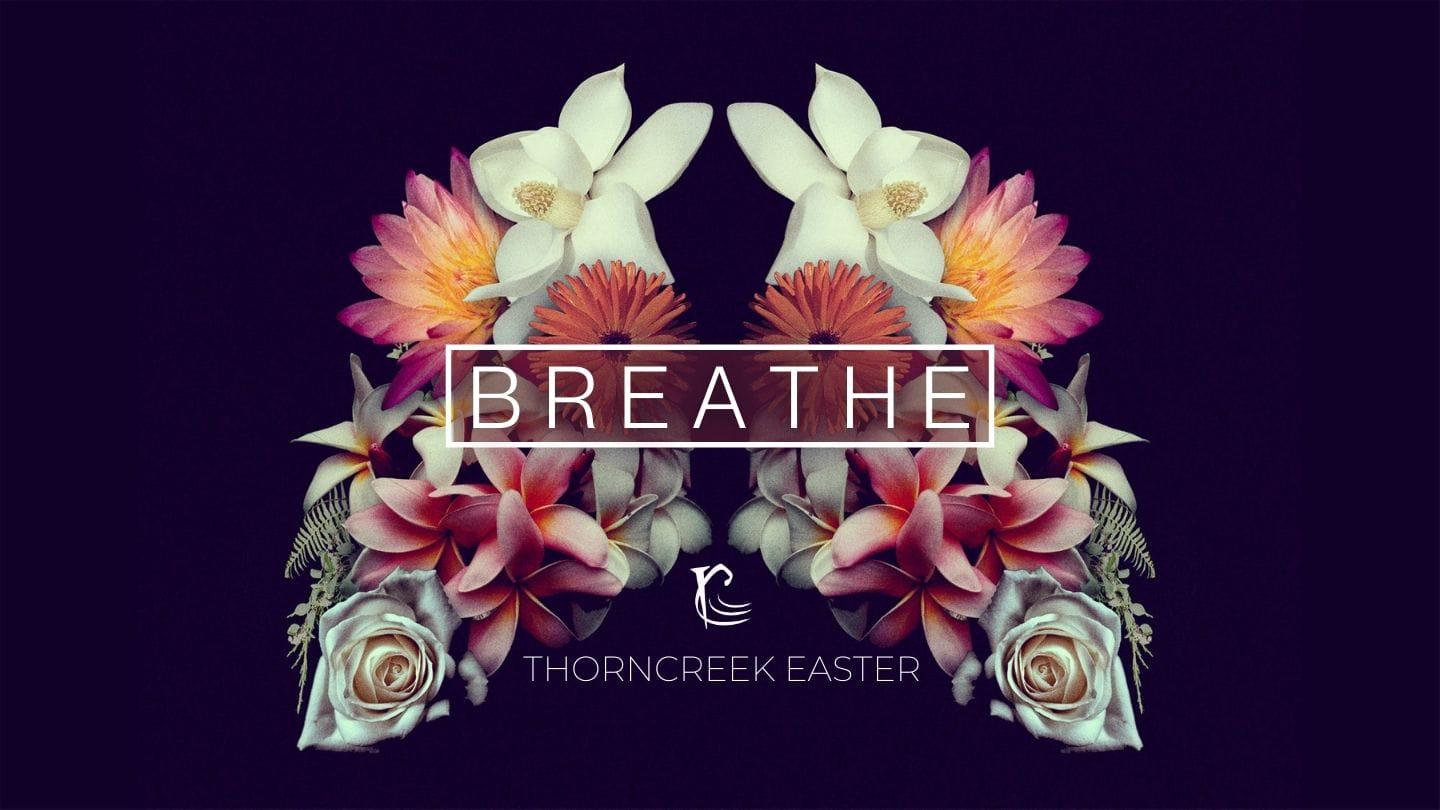 Easter // Breathe