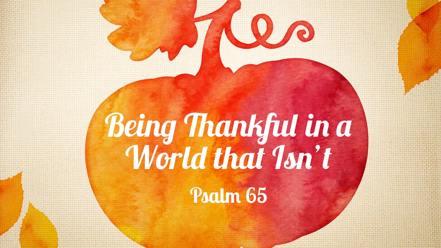 Being Thankful in a World That Isn’t