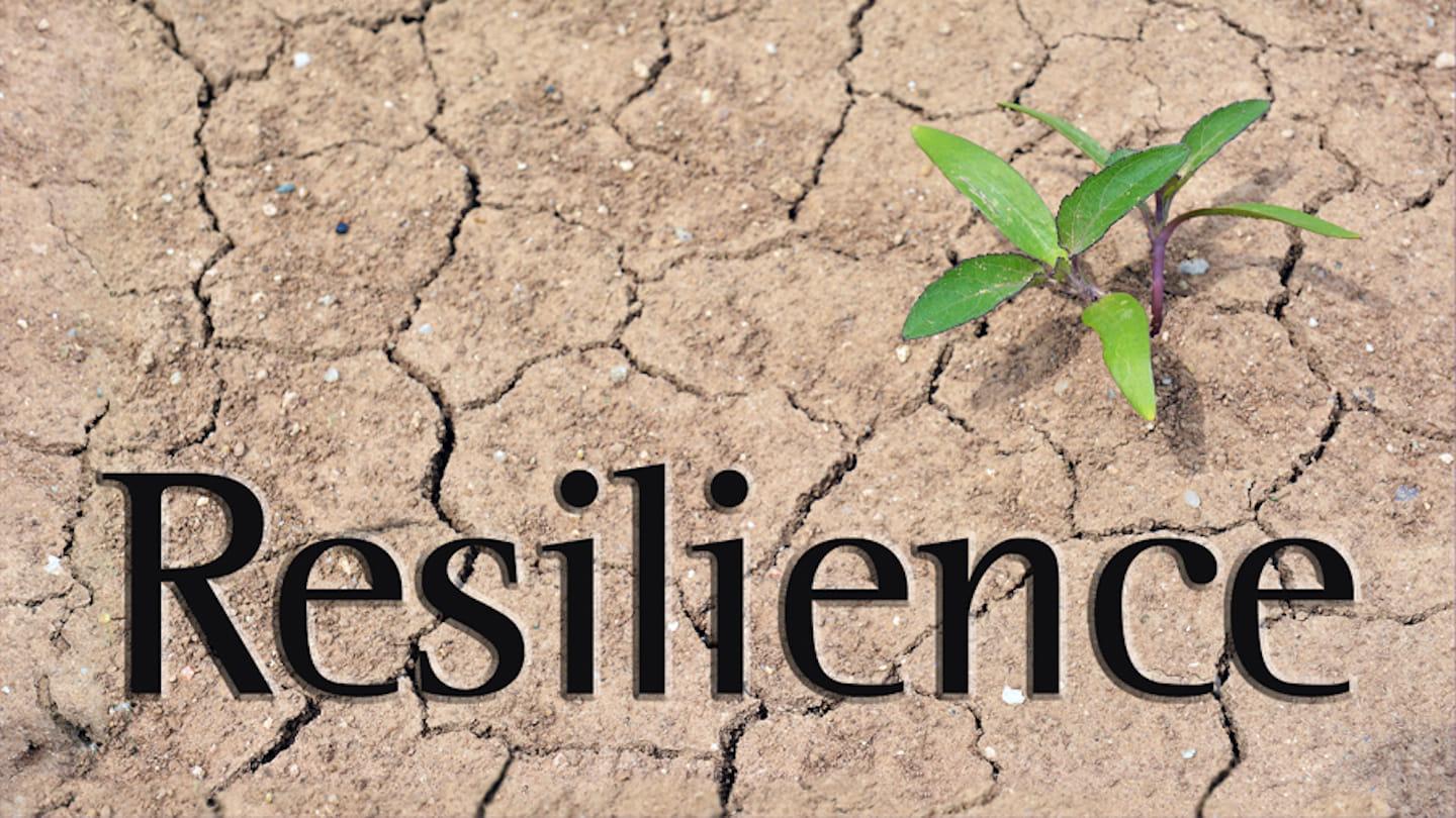 Resilience Series - West Campus