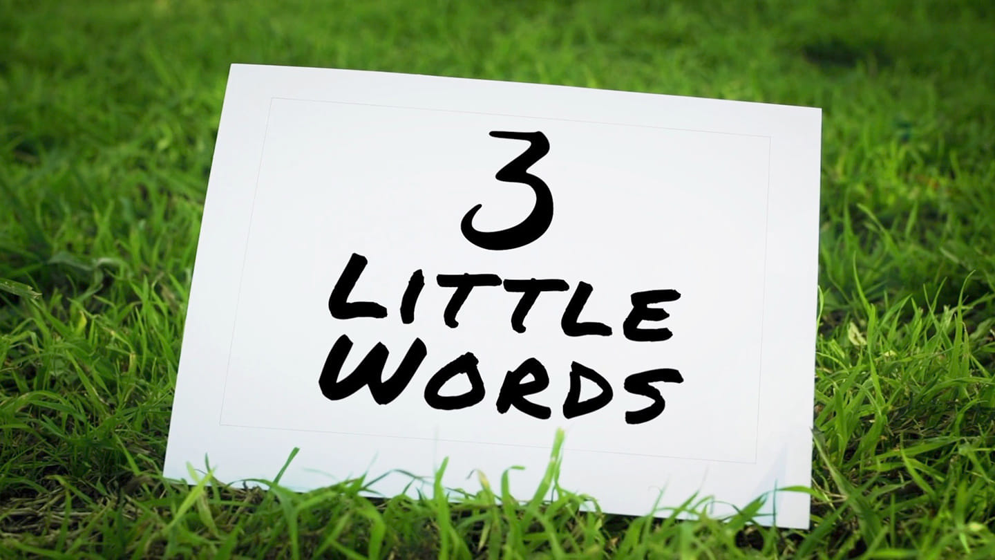 3 Little Words - Feed My Sheep