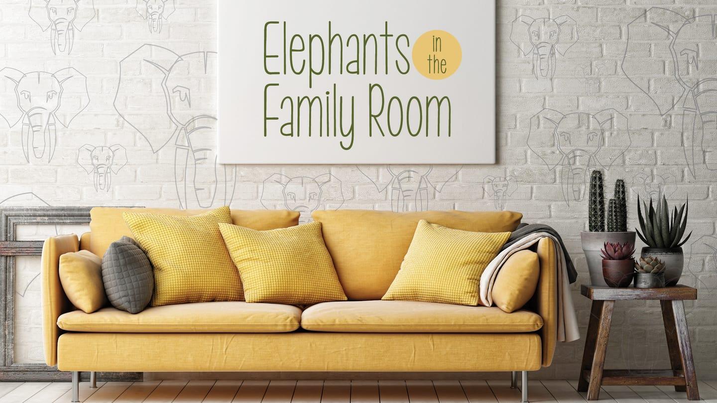 Elephants in the Family Room (6 of 8)
