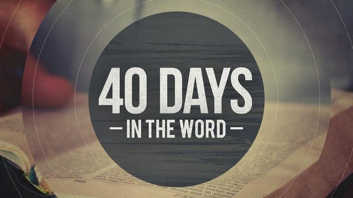 40 Days in the Word: How to See What God Wants Me to See