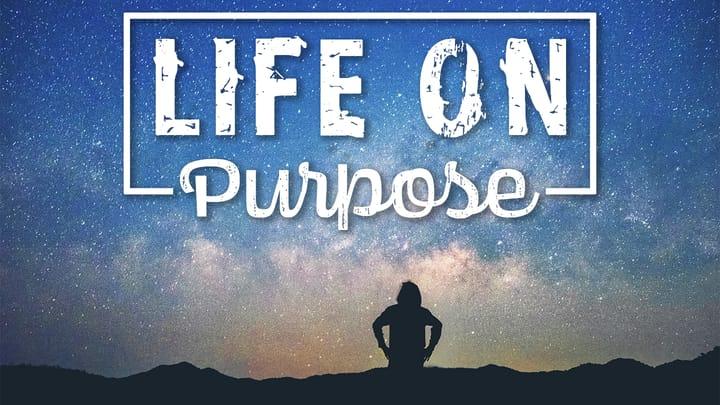Life On Purpose II