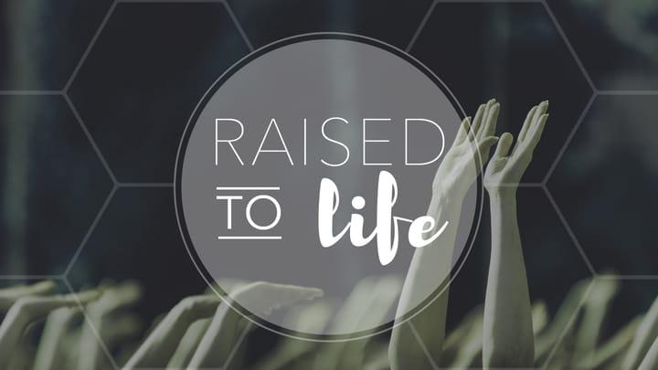 Raised to Life: Week 2- Why Did Jesus Die?