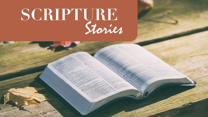 Scripture Stories: Trusting God through the Hardest Times