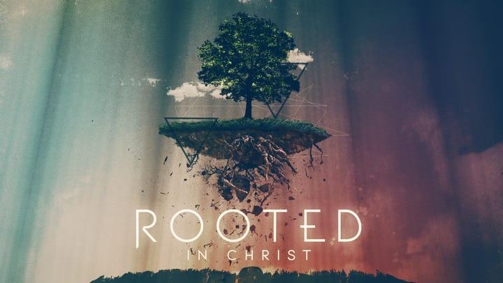 Rooted in Christ
