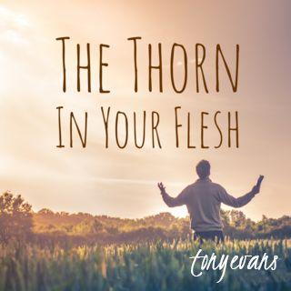 The Thorn In Your Flesh