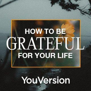 Hoe je dankbaar kunt zijn voor je leven