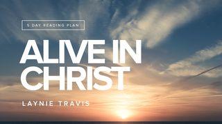 Alive In Christ John 11:35 King James Version