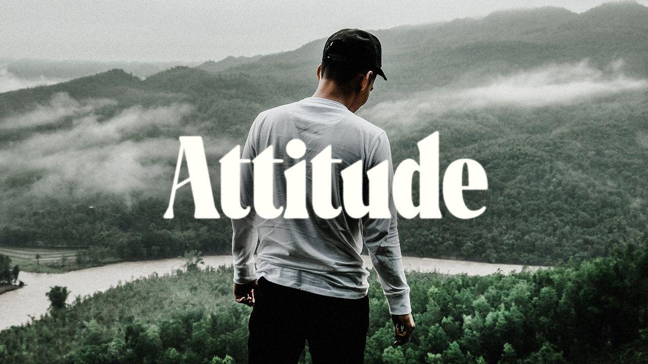 Attitude