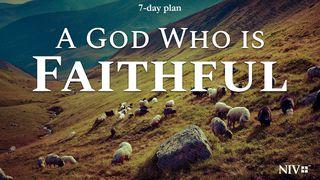 A God Who Is Faithful Judges 6:39-40 Contemporary English Version