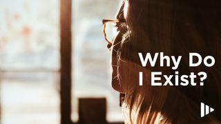 Why Do I Exist? Devotions From Time of Grace Acts 17:26-28 Amplified Bible, Classic Edition