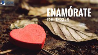 Enamórate de Jesús Romanos 8:1 Nueva Versión Internacional - Español