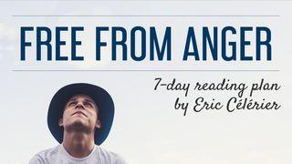 Free From Anger Job 5:17-18 King James Version