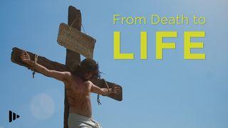 From Death to Life Luke 24:1-8 New International Version (Anglicised)