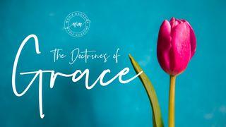 The Doctrines Of Grace John 10:28 Good News Bible (British) with DC section 2017